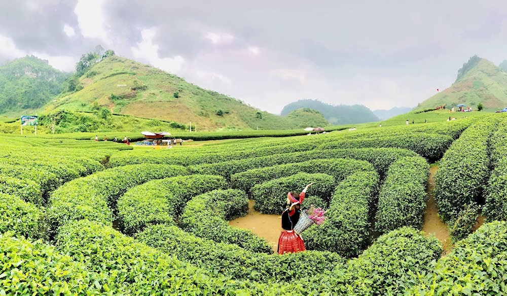 Thuê trang phục dân tộc chụp ảnh tại đồi